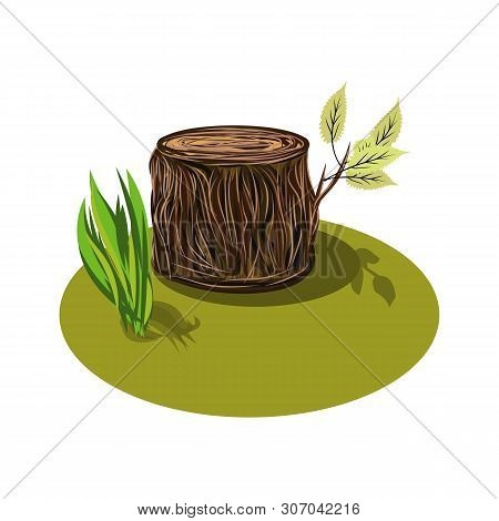 Vector Illustration Of A Cartoon Big Tree Stump With Some Leaves And Some Blades Of Grass. Tree Stum