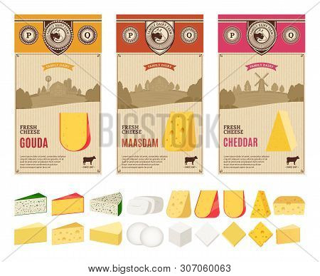 Vector Cheese Labels And Packaging Design Templates. Different Types Of Cheese Detailed Icons. Dairy