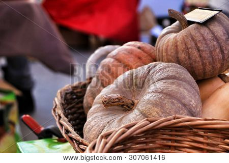 Fresh Pumpkins For Sale At The Local Ecological Market In The Main Square Of The Raval Neighborhood 