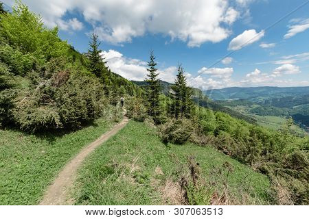 The Meadows In The Vratna Valley At The National Park Mala Fatra