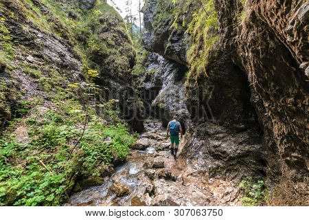 Tourist Goes In The Forest In Upper Holes