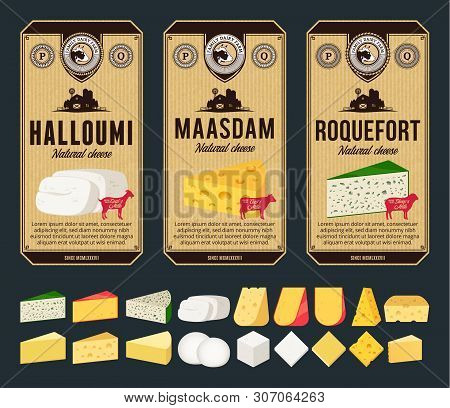 Vector Cheese Labels And Packaging Design Templates. Different Types Of Cheese Detailed Icons. Dairy