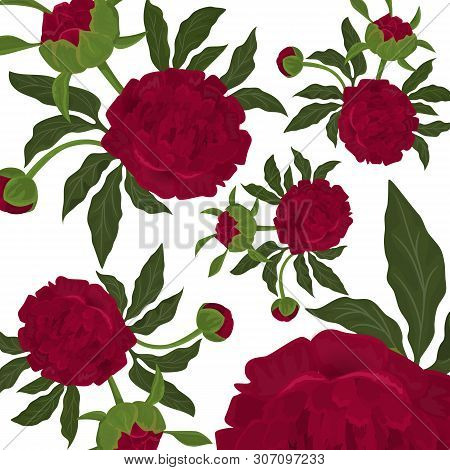 Abstract Seamless Pattern With Isolated Red Roses Or Piony, Buds And Green Leaves On White Backgroun