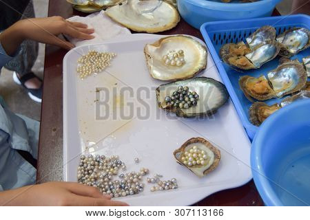 Woman Working On Extracting Pearls From Oyster Shells. Vietnamese Factory Near Ha Long Bay