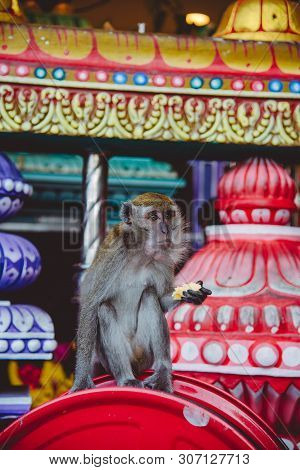 Batu Caves, Kuala Lumpur, May, 2019 : The Batu Caves Lord Murugan Statue, Malaysia