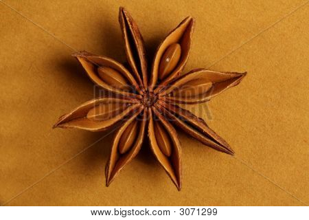 เอไนส์ - ดาวรูปเครื่องเทศอินเดีย