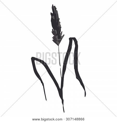 Vector Illustration Of Sprig In Gray Tones