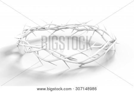 Crown Of Thorns White