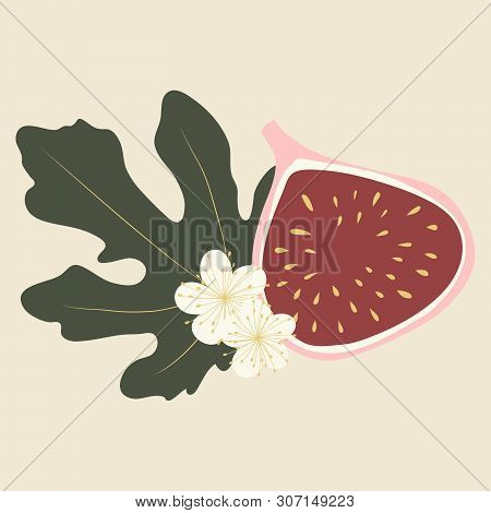 Vector Illustation Of Fig, Leaf And Flowers In Pastel Colors