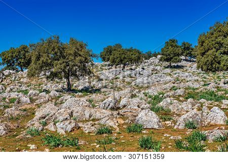 Landscape Near Cuevas Del Becerro In Province Malaga, Andalusia, Spain