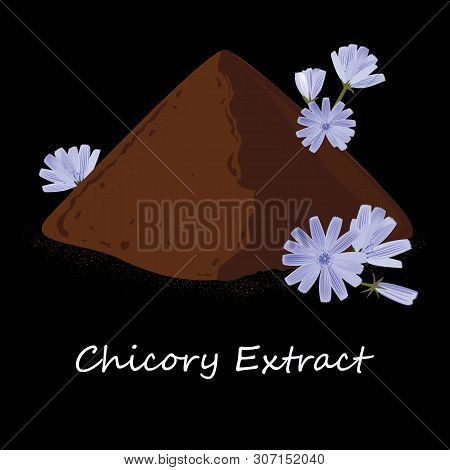 Instant Chicory Root Roasted Powder, And Fresh Chicory Flowers. Natural Source Of Inulin, Black Back