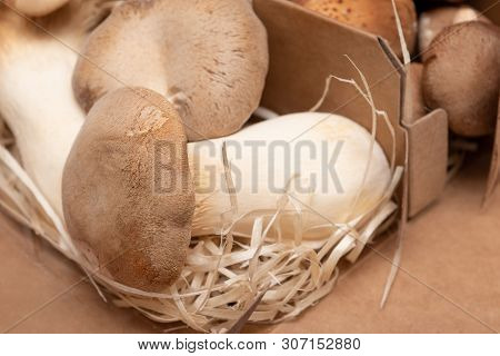 King oyster mushroom on wooden background. Pleurotus eryngii