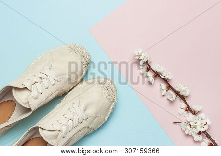 Beige Fashionable Women's Espadrilles With Spring Flowering Branch On Color Pastel Blue Pink Backgro