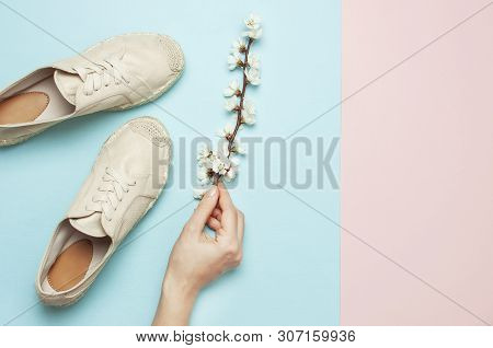 Female Hands Hold Beige Fashionable Espadrilles With Spring Flowering Branch On Pastel Blue Pink Bac
