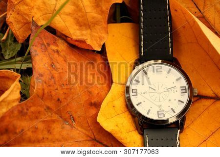 Vintage Scene Of Autumn Concept And Alarm Clock Isolated On Ground