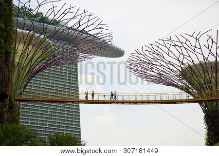 Singapore City, Singapore - April 12, 2019: Touristic Ocbc Skyway In The Supertree Grove At The Gard