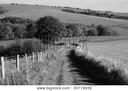 traccia sul downs