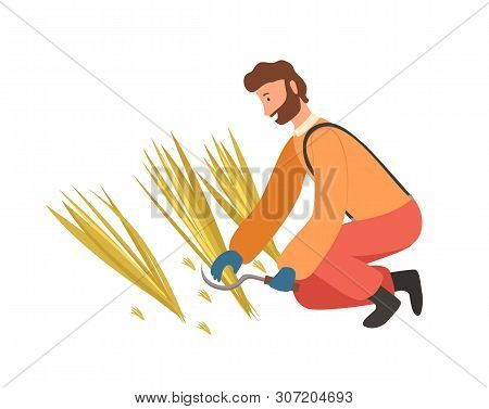 Farmer Man Mowing Wheat By Scythe, Agricultural Season Work On Field, Worker Character Cutting Straw