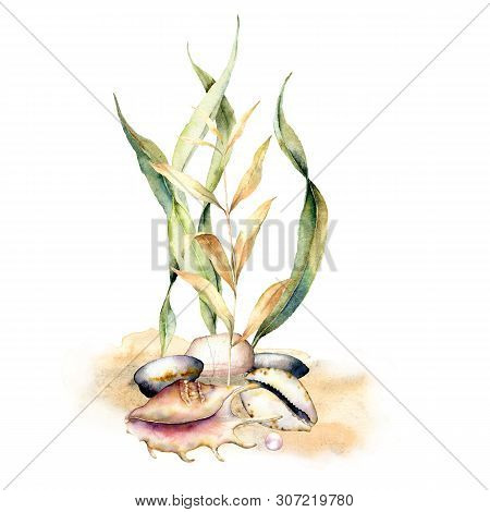Watercolor Card With Laminaria Branches. Hand Painted Underwater Floral Illustration With Algae Leav