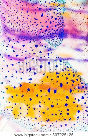 Oil Bubbles Inside Water Base Form Patterns