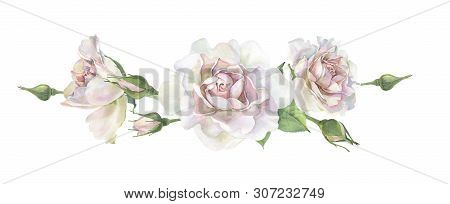 Roses For Congratulations And Invitations On A White Background