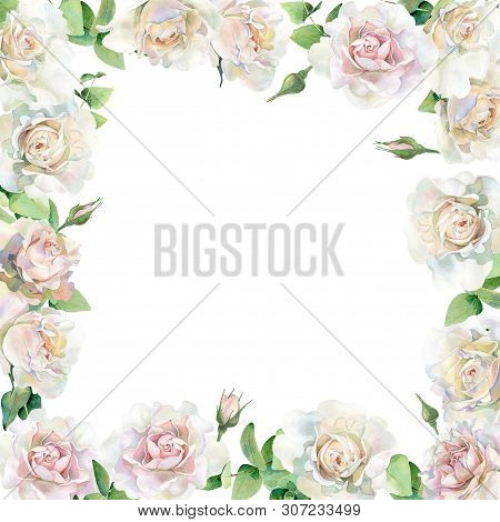 Square Frame Of Watercolor Roses On A White Background
