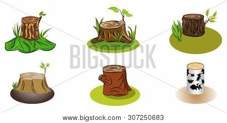 Stumps Of Trees Set With Variety Of Sorts Of Tree, Some Lives And Gracc Together