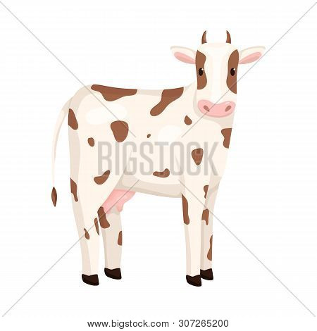 Isolated Object Of Cow And Calf Sign. Set Of Cow And Milk Vector Icon For Stock.