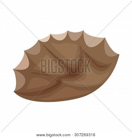 Vector Illustration Of Flint And Sharp Sign. Set Of Flint And Evolution Stock Vector Illustration.