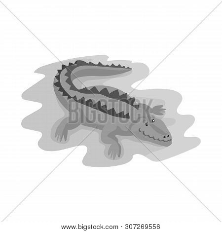 Vector Illustration Of Crocodile And Alligator Symbol. Collection Of Crocodile And Cute Vector Icon 