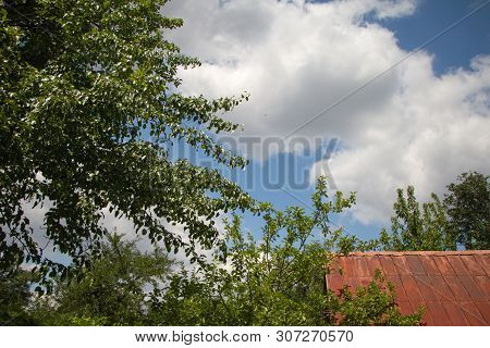 Rusty Corrugated Metal Roof Over Trees And A Cloudy Blue Sky, Soft Focus, Cpyspace