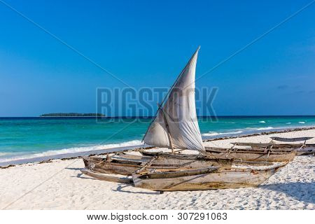 Muyuni white sand beach in Unguja aka Zanzibar Island Tanzania East Africa