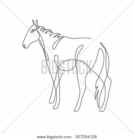 Horse Grazing One Line Drawing Contour Vector