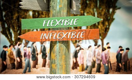 Street Sign The Direction Way To Flexible Versus Inflexible