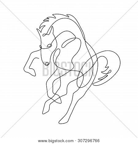 Horse Kicks One Line Drawing Continuous Line