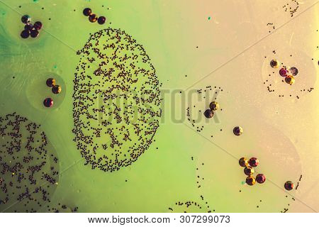 Oil Bubbles Inside Water Base Form Patterns