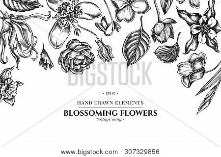 Floral Design With Black And White Ylang-ylang, Impatiens, Daffodil, Tigridia, Lotus, Aquilegia