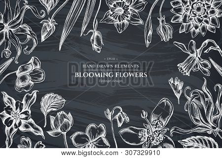 Floral Design With Chalk Ylang-ylang, Impatiens, Daffodil, Tigridia, Lotus, Aquilegia