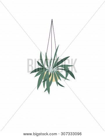 Urban Jungle, Trendy Home Decor With Plants, Leopards, Cacti, Tropical Leaves. Colorful Design. For 