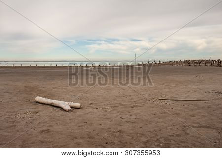 Dead Trees In The Lake. City Of Epecuen Submerged. Desolate Landscape