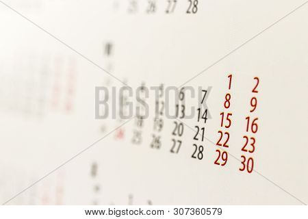 Calendar Sheet. Calendar Of The Year Two Thousand Nineteen. June.