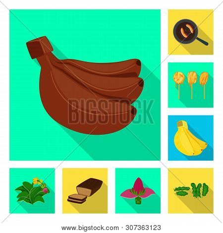 Vector Illustration Of Natural And Vegetarian Symbol. Set Of Natural And Eating Stock Symbol For Web