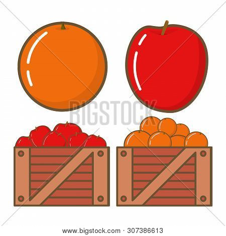Ripe Orange And Apple. Tropical Citrus. Natural Healthy Food For Vegeterianets.in Flat Line Art A Ve