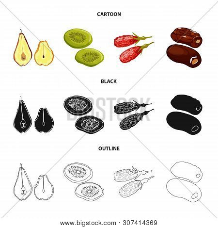 Vector Illustration Of Food And Raw Icon. Set Of Food And Nature Stock Vector Illustration.
