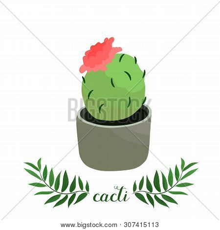 Wonderful Cacti. Vector Illustration. Design For: Postcard, Banner, Textiles. Fashion Print.