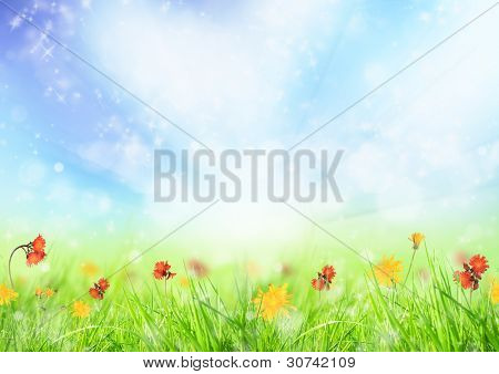 Schönen Frühlingswiese