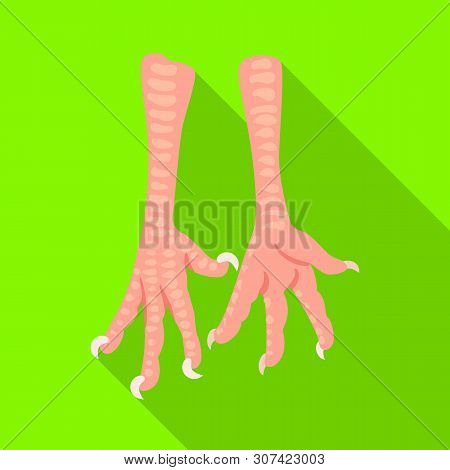 Isolated Object Of Paws And Chicken Sign. Collection Of Paws And Leg Stock Vector Illustration.