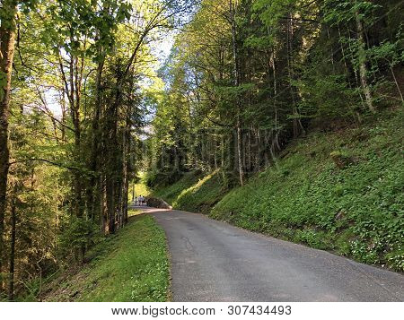 Road And Walk Through The Wagital Valley And By The Wagitalersee Or Waegitalersee Alpine Lake, Inner