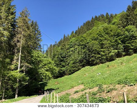 Road And Walk Through The Wagital Valley And By The Wagitalersee Or Waegitalersee Alpine Lake, Inner