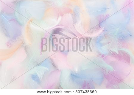 Abstract Nackground With Soft Colorfull Feathers. Flat Lay